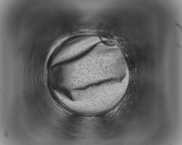 X0000097960342200804141033