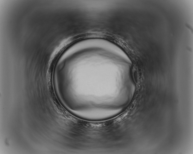 X0000097960343200804141033