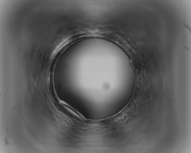 X0000097960344200804141033