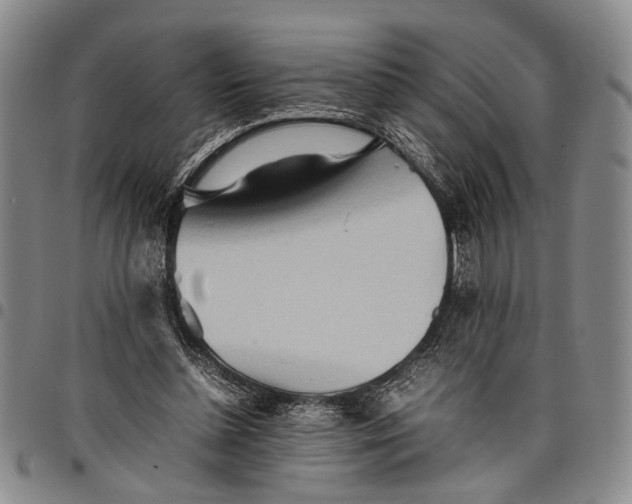 X0000097960348200804141033