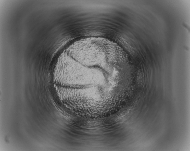 X0000097960351200804141033