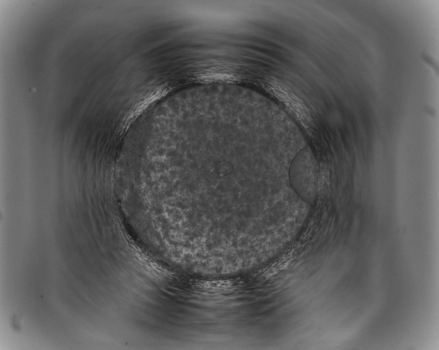 X0000097960353200804141033