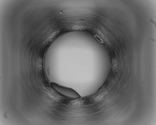 X0000097960356200804141033
