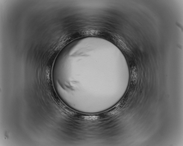 X0000097960363200804141033