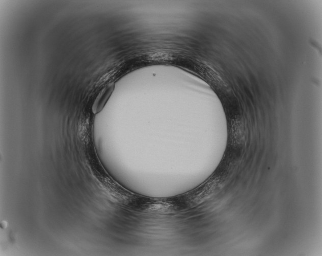 X0000097960364200804141033