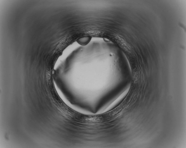 X0000097960365200804141033