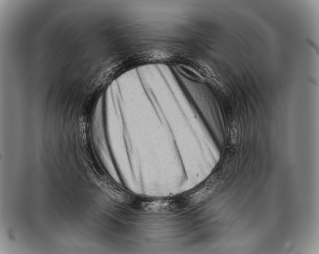 X0000097960366200804141033