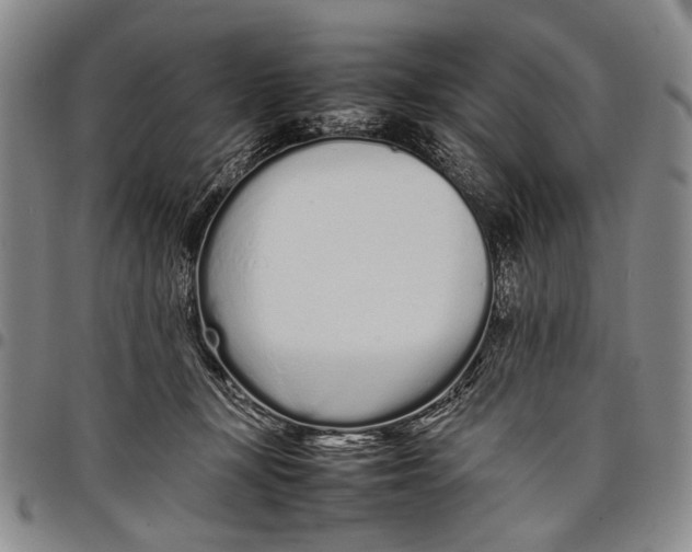 X0000097960367200804141033