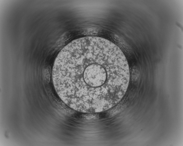 X0000097960370200804141033