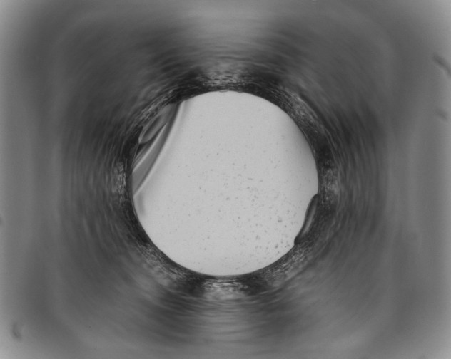 X0000097960372200804141033