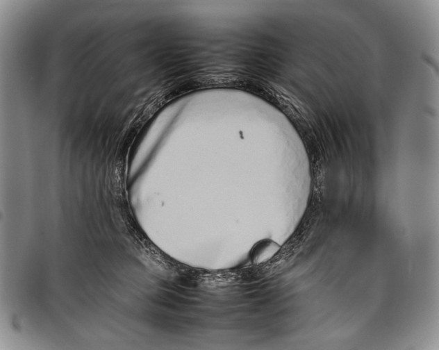 X0000097960373200804141033