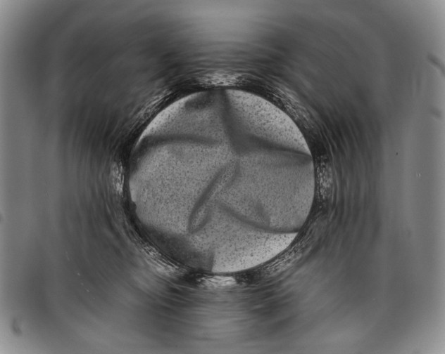 X0000097960374200804141033