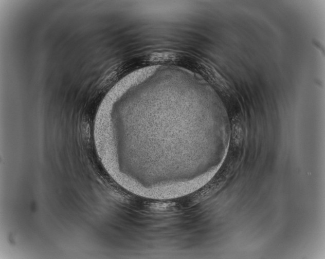 X0000097960375200804141033