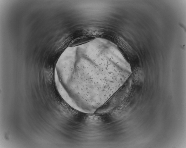X0000097960376200804141033