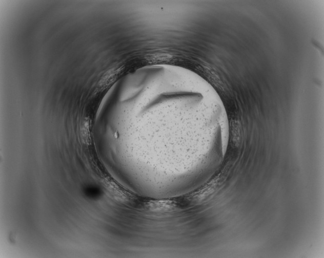 X0000097960378200804141033