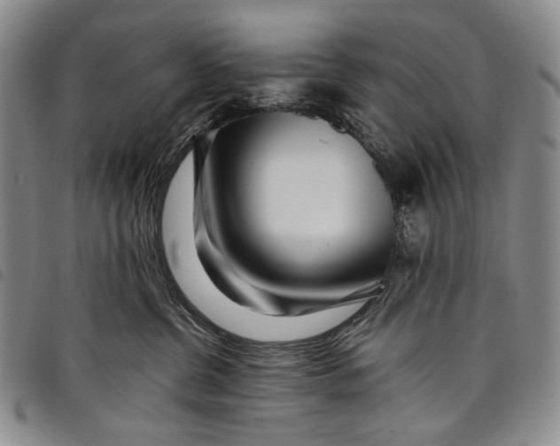 X0000097960380200804141033