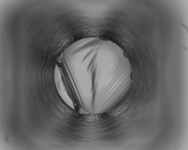 X0000097960384200804141033