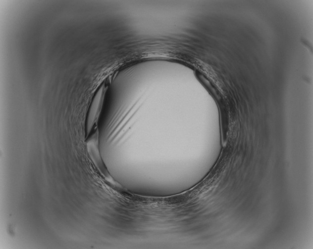 X0000097960385200804141033