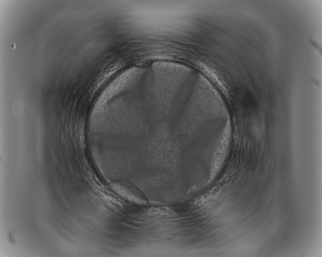 X0000097960386200804141033