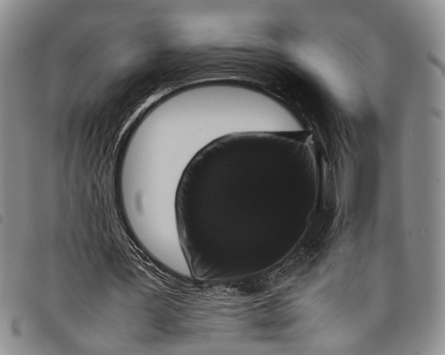 X0000097960387200804141033