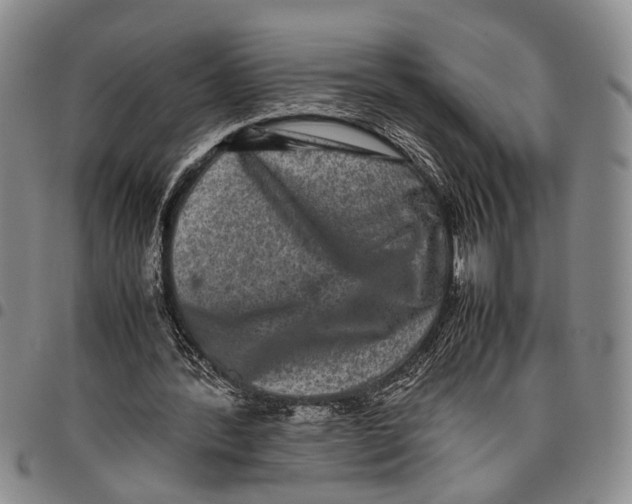 X0000097960388200804141033