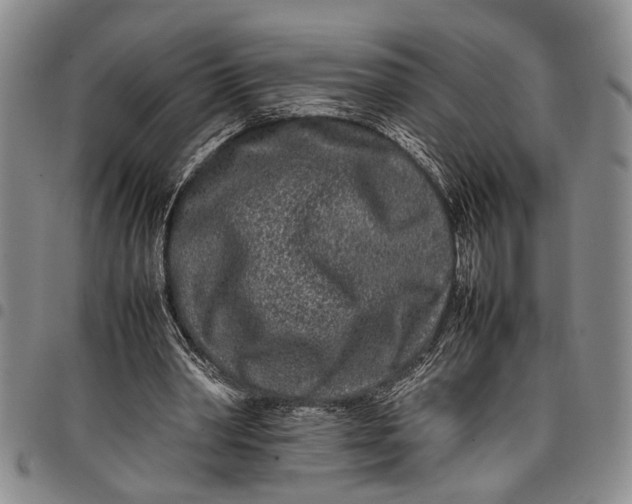 X0000097960390200804141033