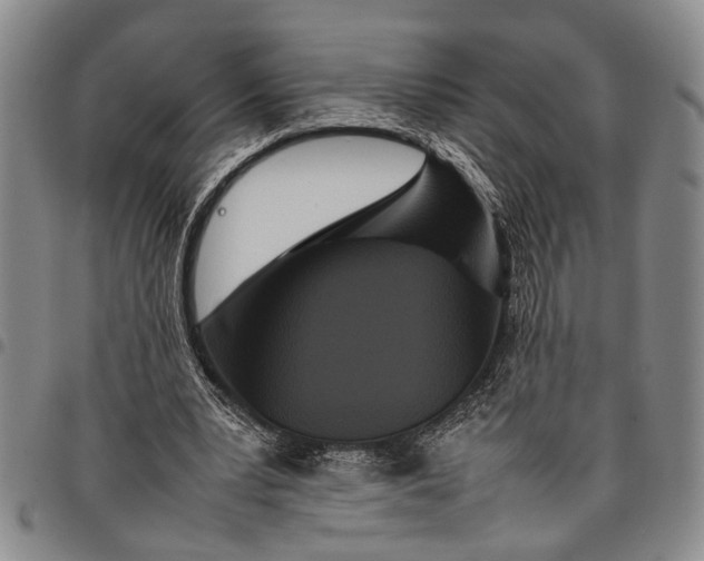 X0000097960391200804141033