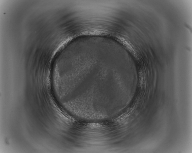 X0000097960392200804141033