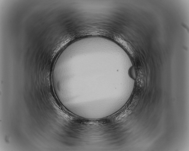 X0000097960394200804141033