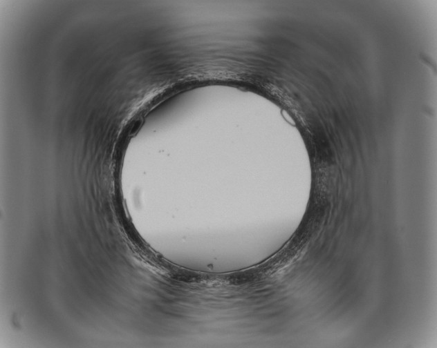 X0000097960395200804141033