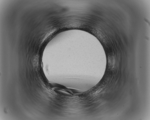 X0000097960396200804141033