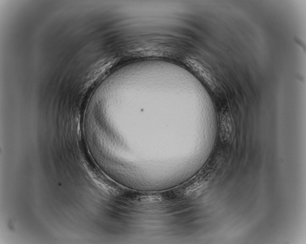 X0000097960398200804141032