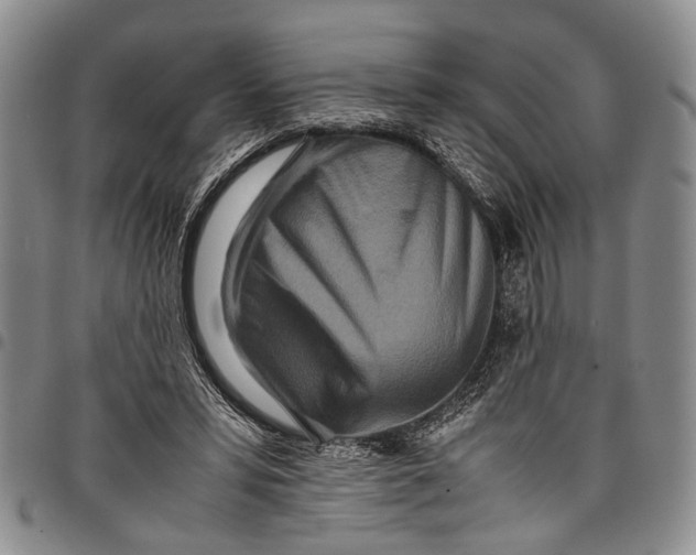 X0000097960399200804141032