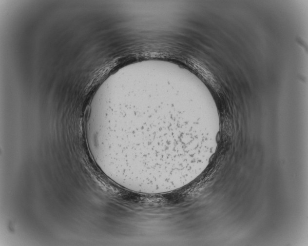 X0000097960401200804141032