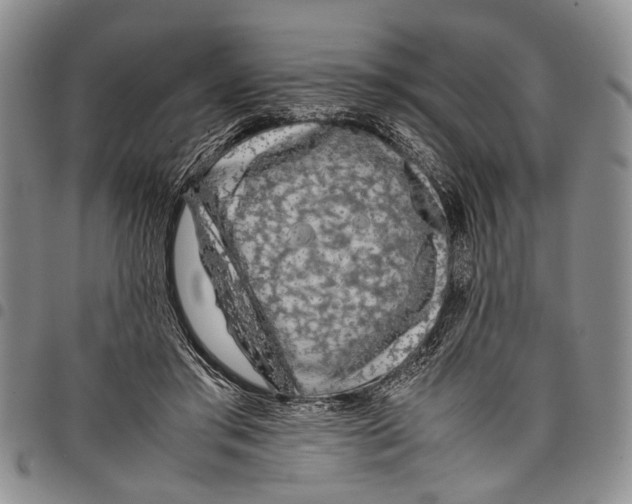 X0000097960405200804141032