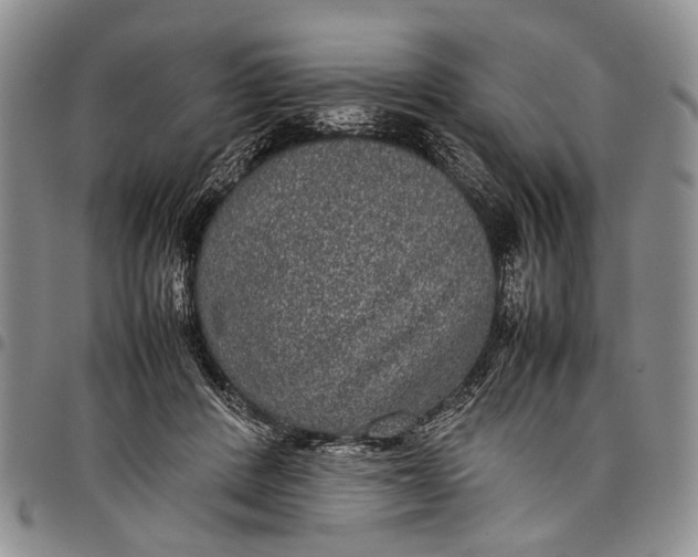 X0000097960408200804141032