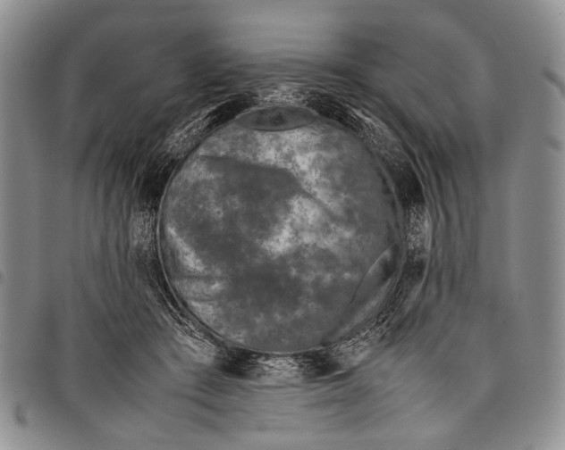 X0000097960409200804141032