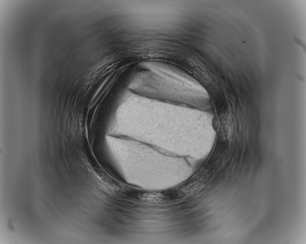 X0000097960410200804141032