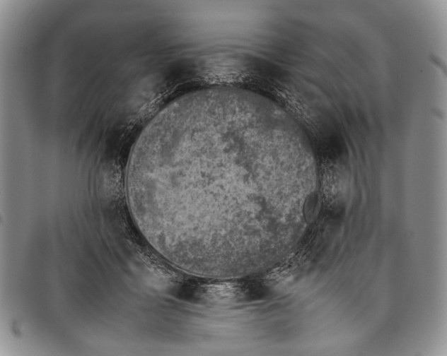 X0000097960411200804141032