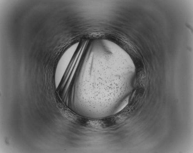 X0000097960417200804141032