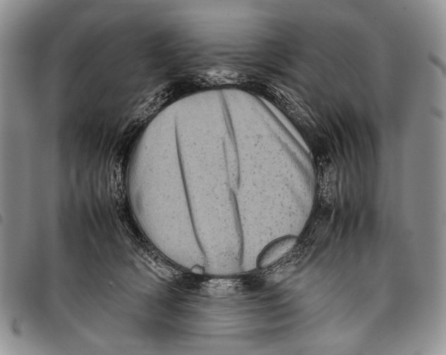 X0000097960418200804141032