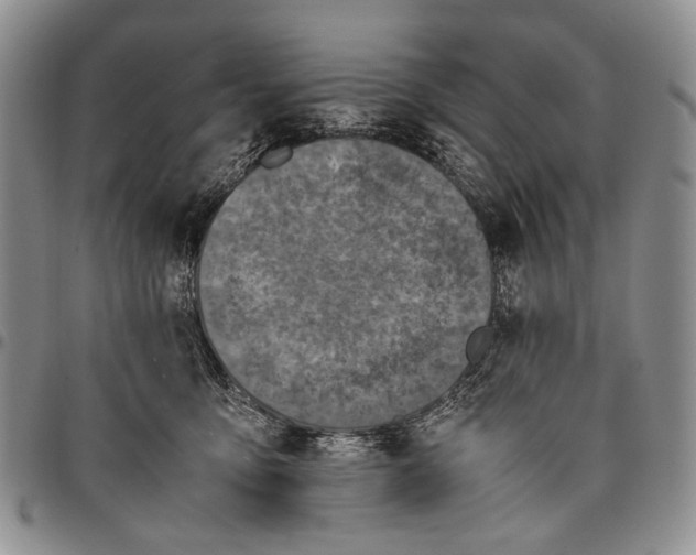 X0000097960419200804141032