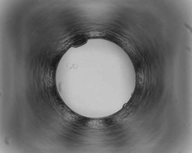 X0000097960422200804141032