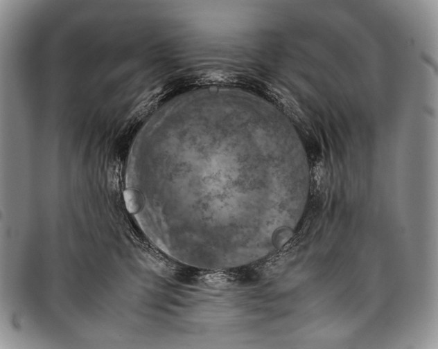 X0000097960423200804141032