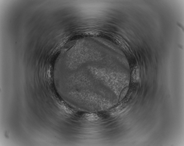 X0000097960424200804141032