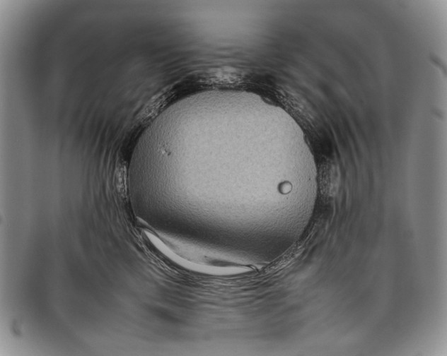 X0000097960425200804141032