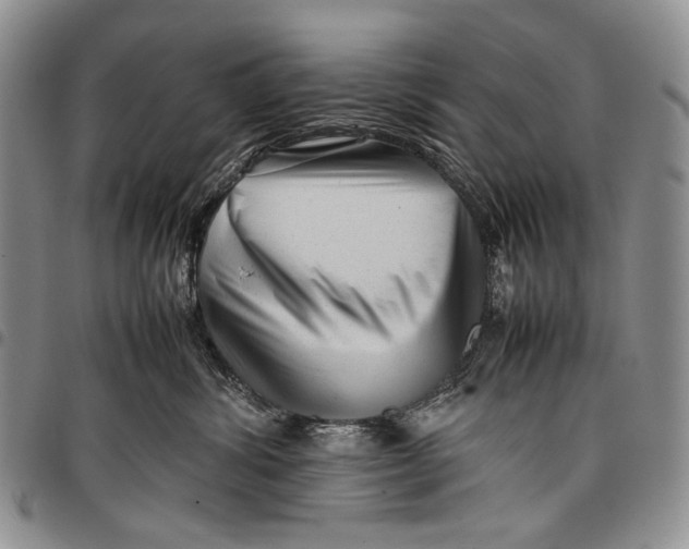 X0000097960428200804141032
