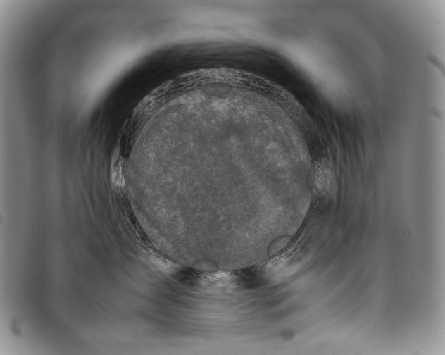 X0000097960431200804141032