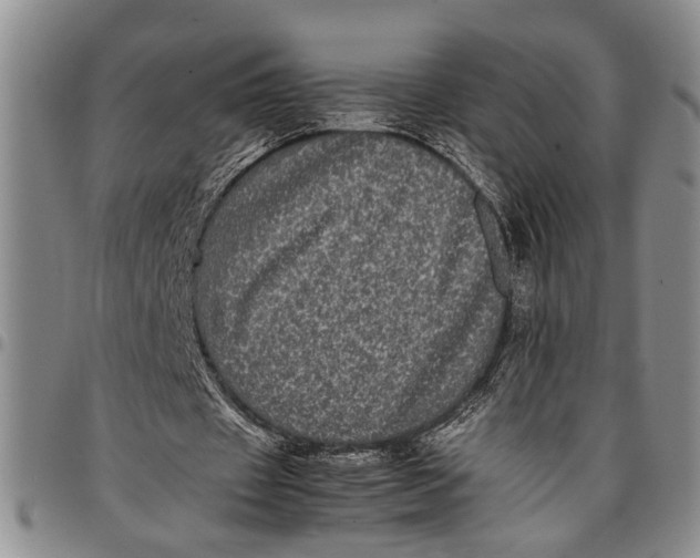 X0000097960433200804141031