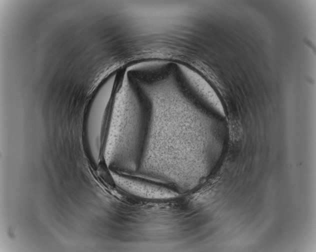 X0000097960434200804141031